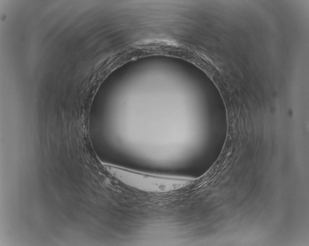 X0000077320965200610200839