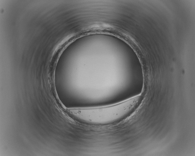 X0000077321018200610200838