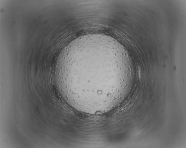 X0000077321059200610200837
