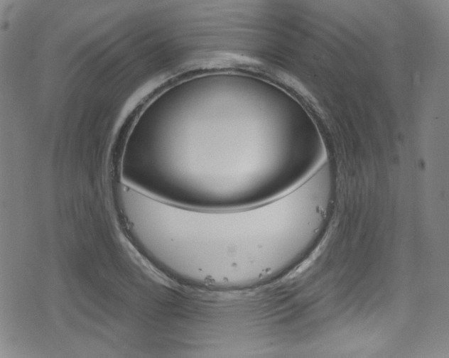 X0000077321122200610200836