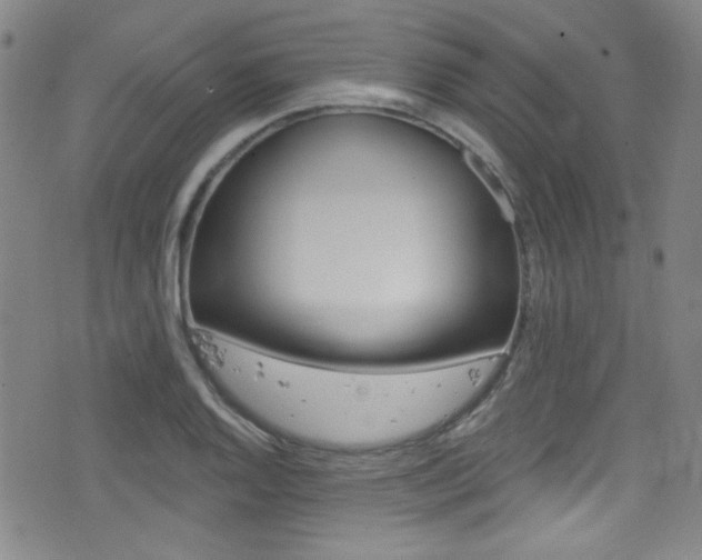 X0000077321128200610200836