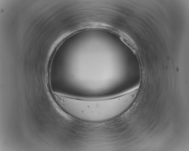 X0000077321136200610200836