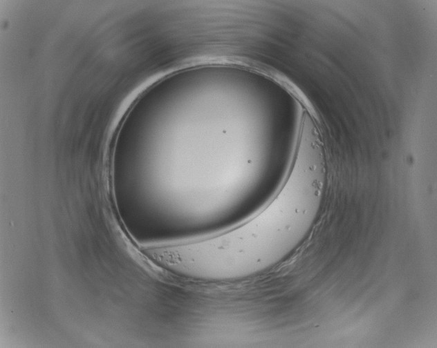 X0000077321148200610200837