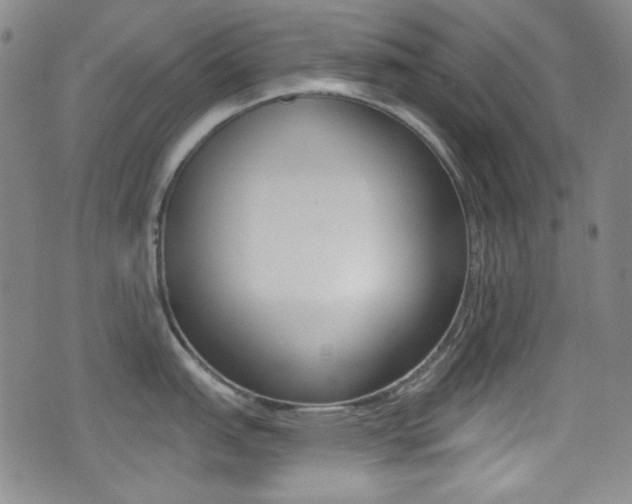 X0000077321151200610200837
