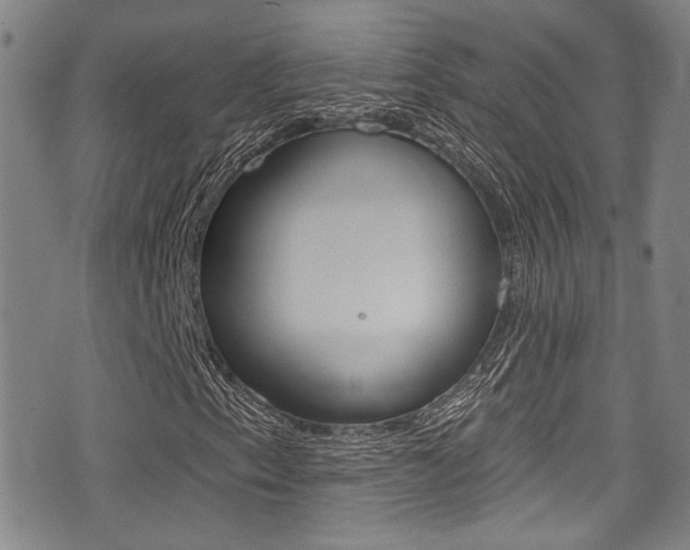 X0000077321153200610200836