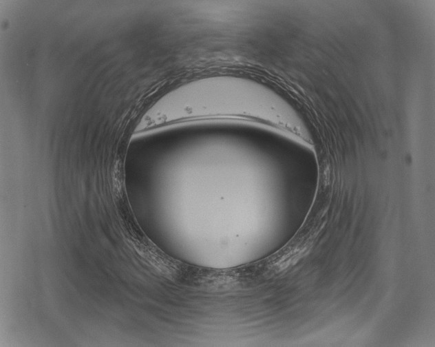 X0000077321156200610200836