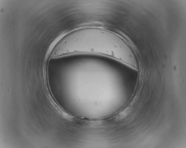 X0000077321196200610200835