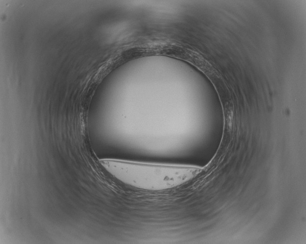 X0000077321204200610200834