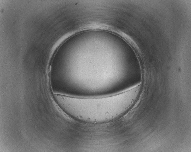X0000077321238200610200835