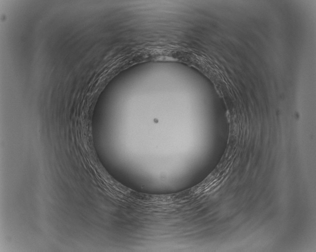 X0000077321249200610200834