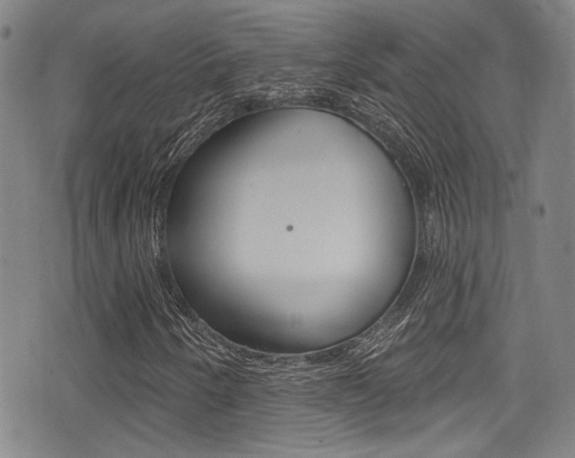 X0000077321250200610200834