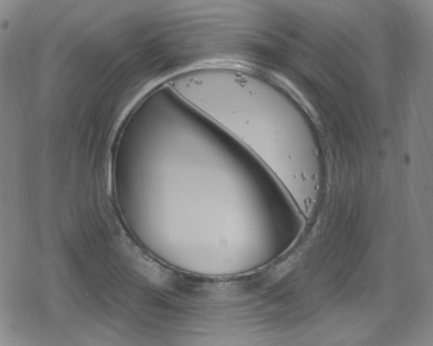 X0000077321276200610200834