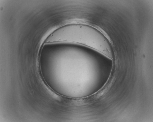 X0000077321285200610200834