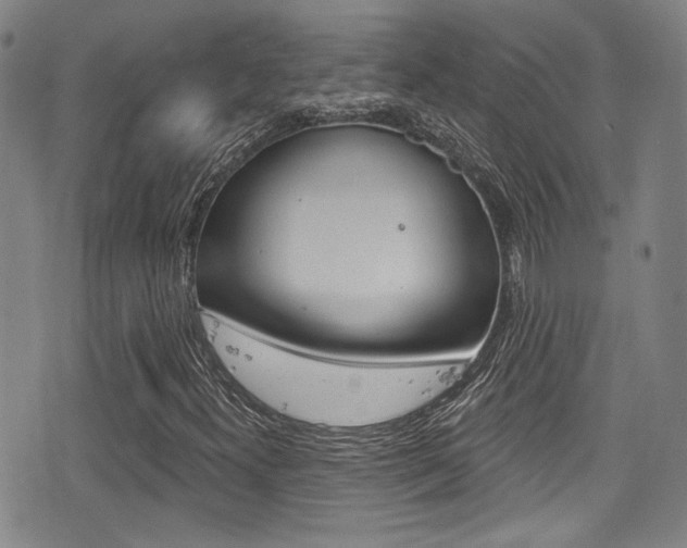 X0000077321300200610200833