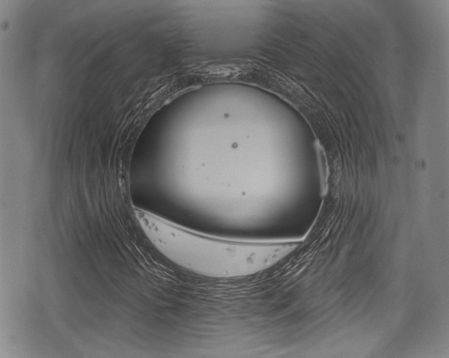 X0000077321394200610200831