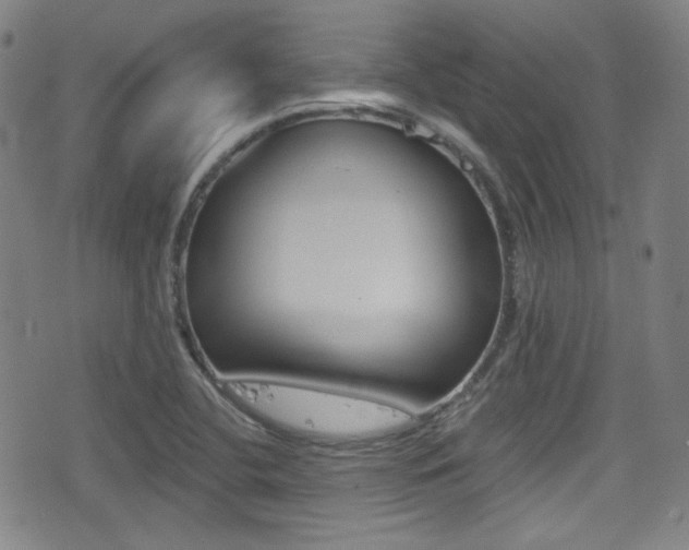 X0000077321412200610200831