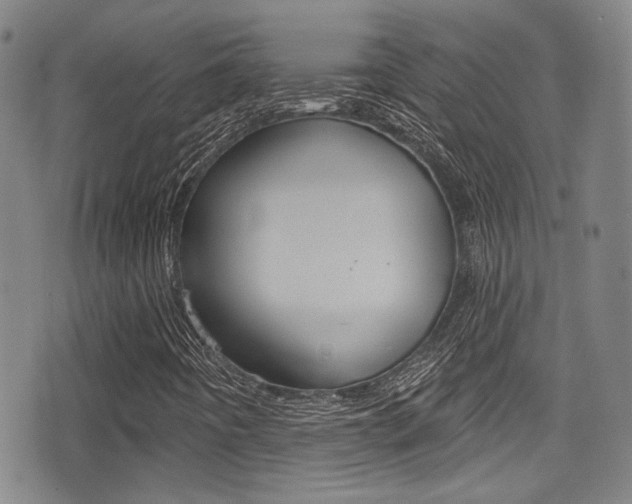 X0000077321442200610200831