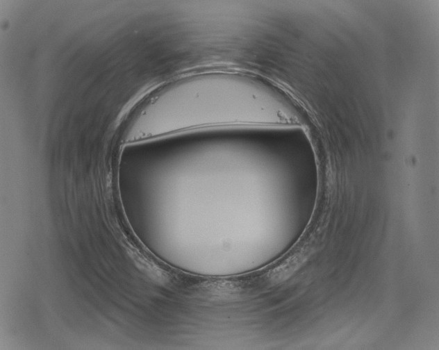 X0000077321450200610200831