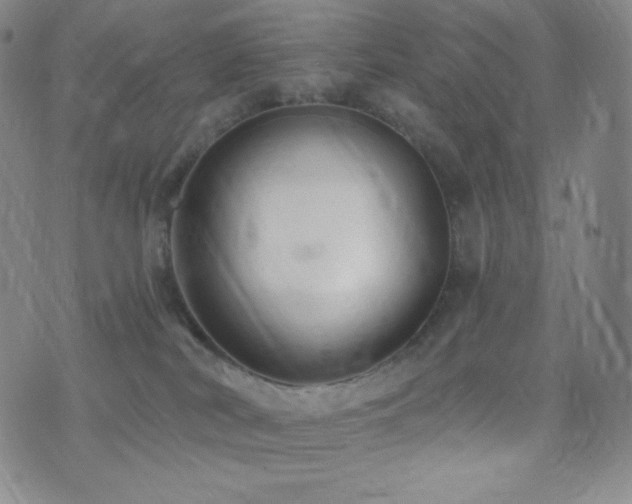 X0000077320038200610201214