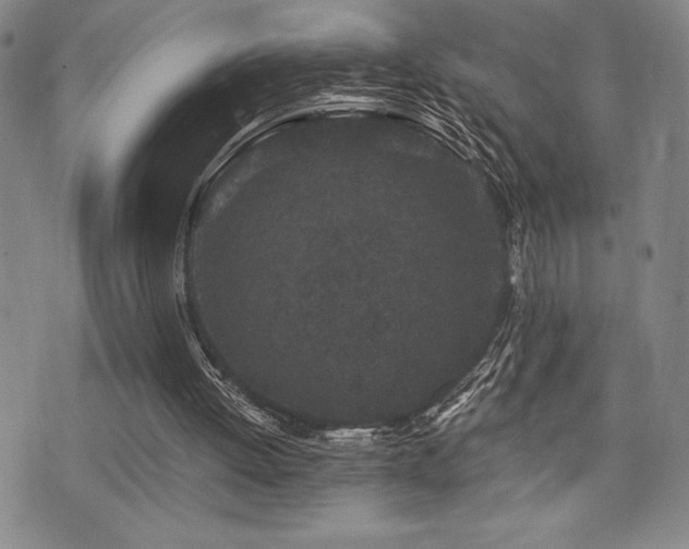 X0000077320052200610201213