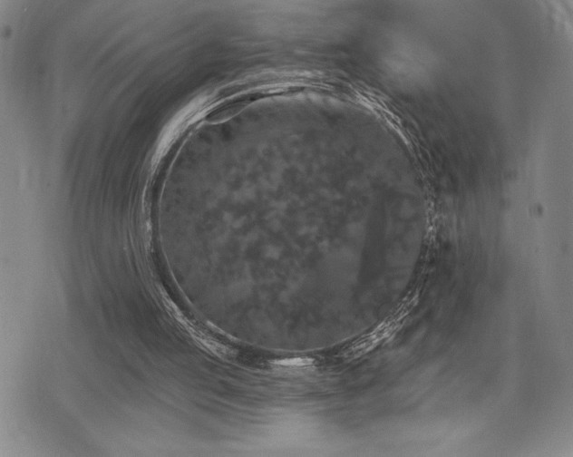 X0000077320053200610201213