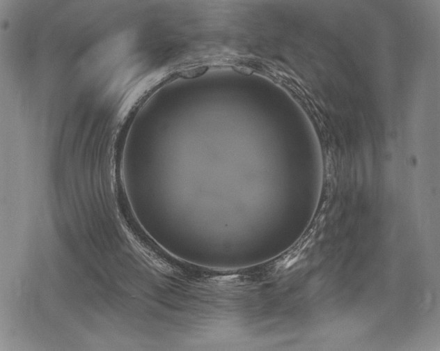 X0000077320054200610201213