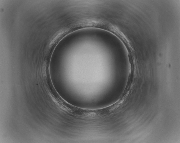 X0000077320058200610201213