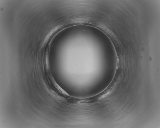X0000077320064200610201213