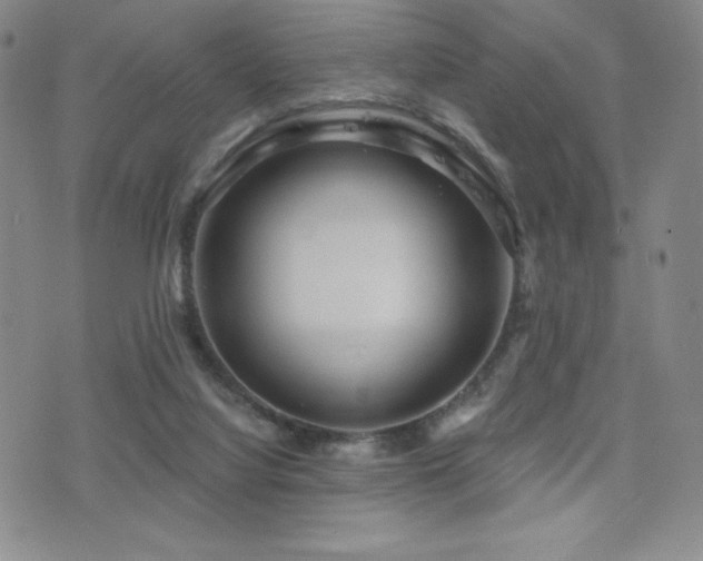 X0000077320068200610201213