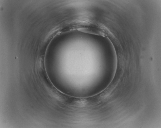 X0000077320071200610201213