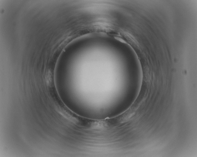 X0000077320077200610201213