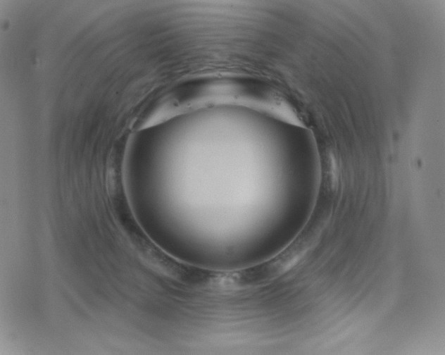 X0000077320080200610201213