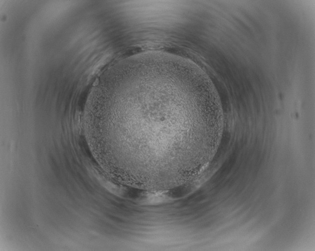 X0000077320093200610201214