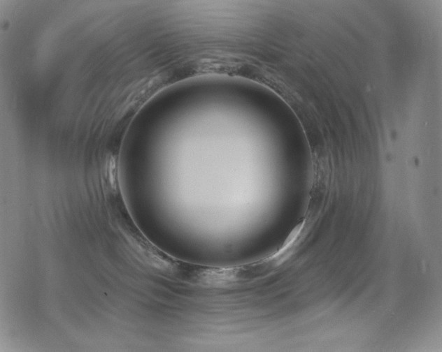 X0000077320094200610201214