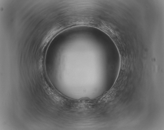 X0000077320098200610201213