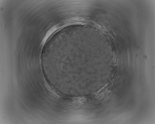 X0000077320099200610201213