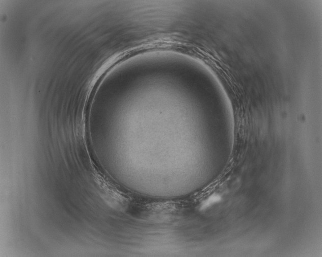 X0000077320100200610201213