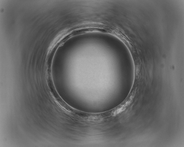 X0000077320101200610201213