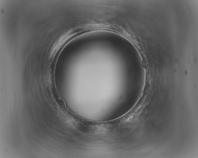 X0000077320103200610201213