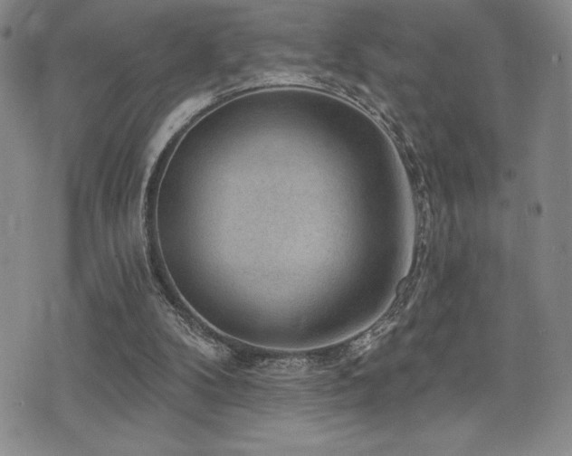 X0000077320104200610201213