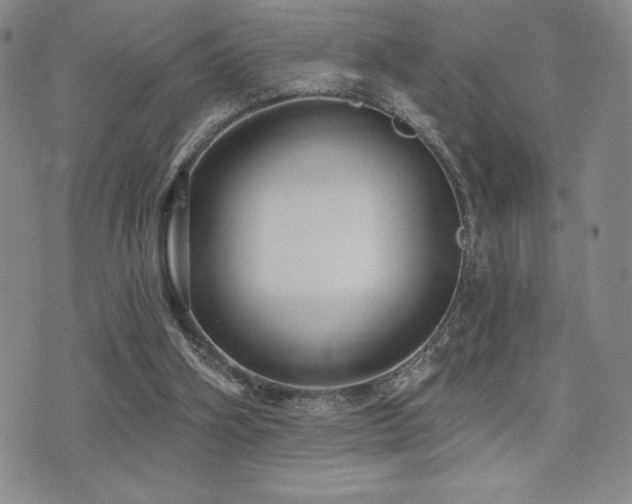 X0000077320106200610201213