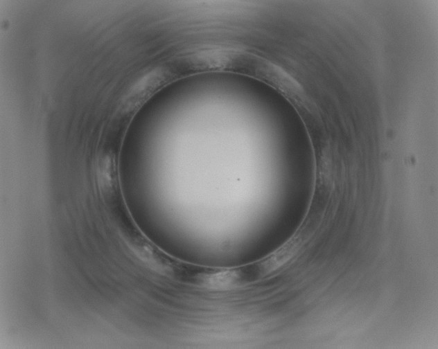 X0000077320122200610201212