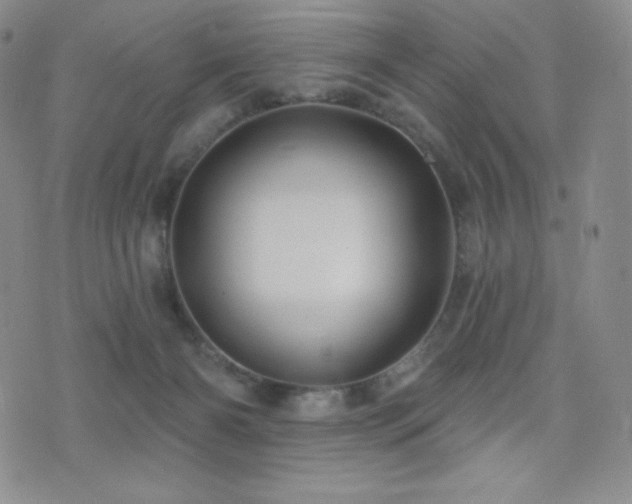X0000077320126200610201212