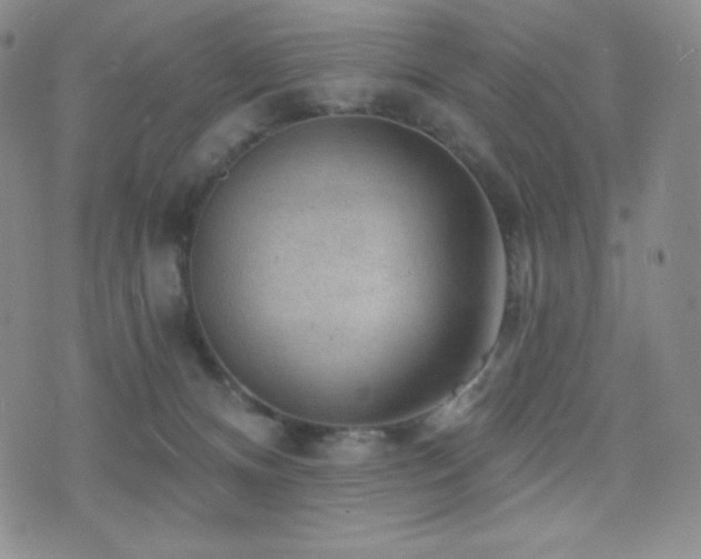 X0000077320128200610201212