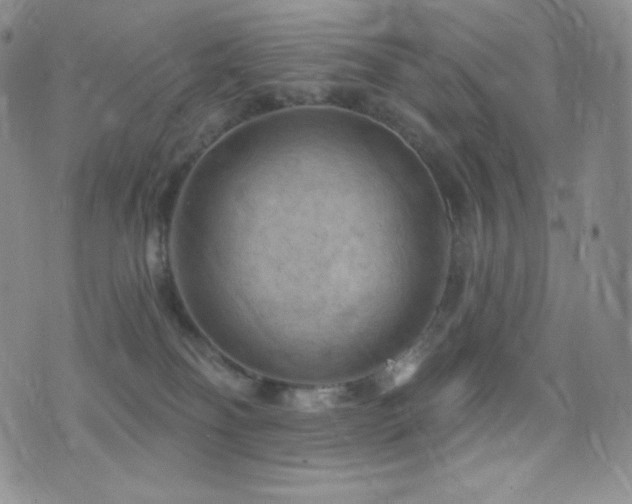 X0000077320134200610201212