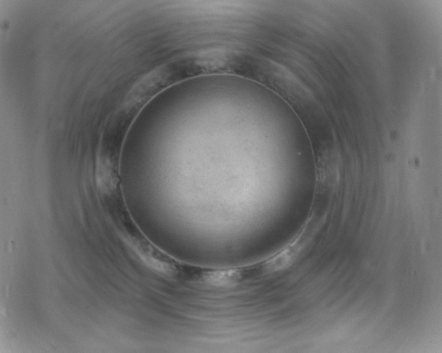 X0000077320136200610201212