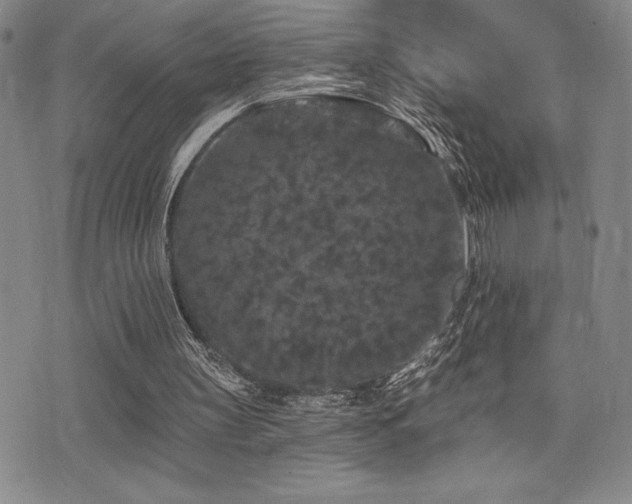X0000077320147200610201211