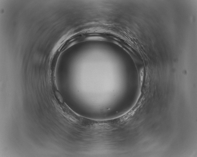X0000077320150200610201211