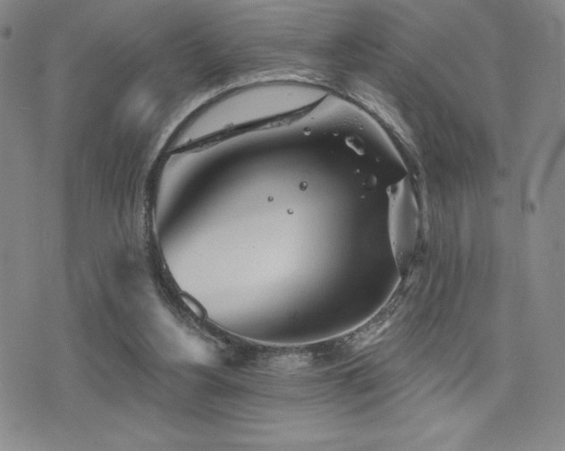 X0000077320156200610201212