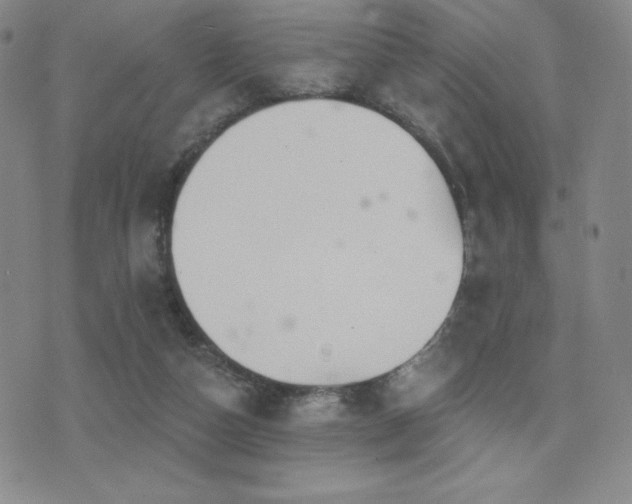 X0000077320162200610201212